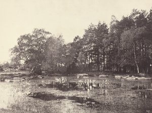 Marsh ved Piat Belle-Croix Plateau, ca. 1863. af Eugène Cuvelier