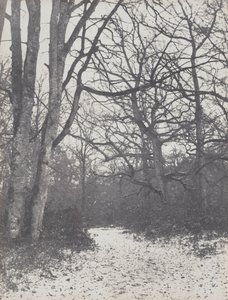 Vej i Skoven, 1860-1863.