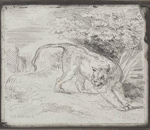 En fanget tiger af Eugène Delacroix
