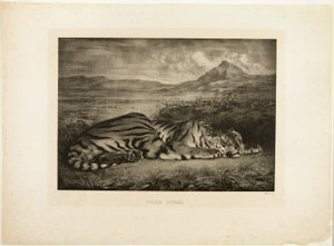 Bengalske tiger af Eugène Delacroix