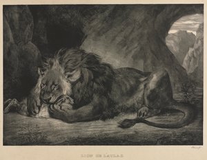 Løve af Atlasbjergene af Eugène Delacroix