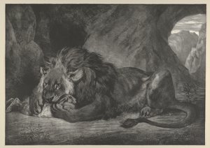 Løve af Atlasbjergene, 1829-30., 1829-30. af Eugène Delacroix