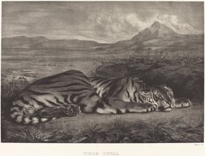 Royal Tiger (Tigre Royal) af Eugène Delacroix