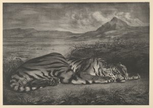 Royal Tiger, 1829., 1829. af Eugène Delacroix