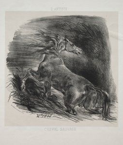 Den vilde hest, eller bange hest, der forlader vandet af Eugène Delacroix