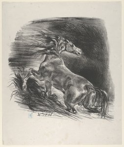 Vild Hest, 1828., 1828. af Eugène Delacroix