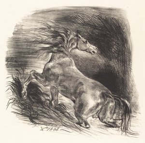 Wild Horse Coming Out of the Water Cheval sauvage, 1828. af Eugène Delacroix