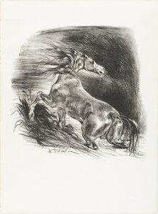 Vild hest, eller bange hest, der forlader vandet af Eugène Delacroix