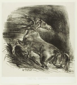 Vild hest eller bange hest, der forlader vandet af Eugène Delacroix