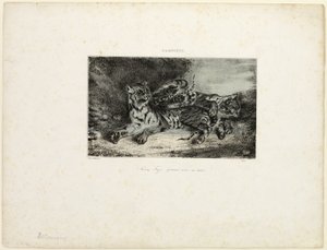 Ung tiger leger med sin mor af Eugène Delacroix