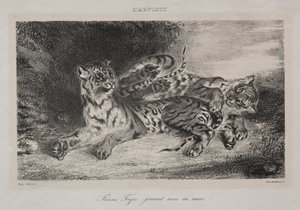 Ung tiger leger med sin mor af Eugène Delacroix