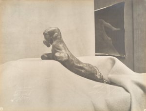 [Auguste Rodins The Clenched Hand], før 1898. af Eugène Druet