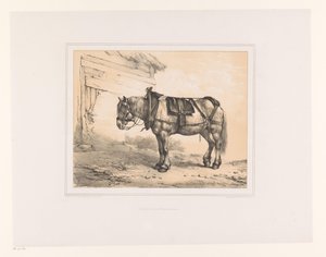 Hest med sadel og grime Forskellige dyr (serietitel) Etudes d
