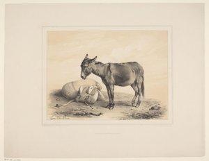 Rustende pakezel Diverse dieren (serietitel) Animal Studies (serietitel) af Eugène Verboeckhoven