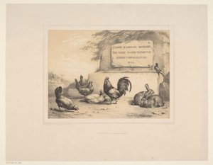 Titelprint med høns, kaniner og en due Forskellige dyr (serietitel) Etudes d