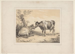 Twee koeien Diverse tamme dieren (serietitel) Tretten husdyr og indfødte dyr (serietitel) af Eugène Verboeckhoven
