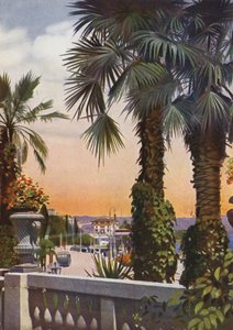 Opatija, nu Opatija i Kroatien: Udsigt over palmer fra Hotel Bellevue (foto) af European Photographer