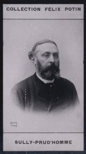 Armand Sully Prudhomme (1839) (s/h-foto) af European Photographer