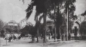 Brasilien: San Paolo, Jardim da Luz (s/h-foto) af European Photographer
