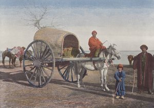 Marcherende bokharisk vogn af European Photographer