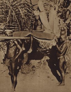 Høvding for en afrikansk pygmæ-stamme bliver båret på et kuld (s/h-billede)