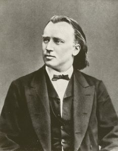 Johannes Brahms, portræt, ca. 1876 (s/h foto)