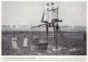 Radisekulturen i Bayern (s/h-billede) af European Photographer