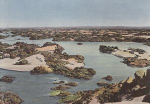 Nilens anden grå stær af European Photographer