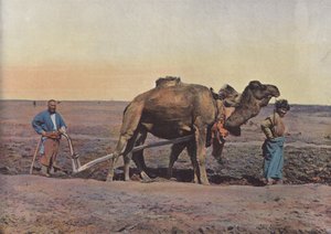 Arbejdsmand Tekes af European Photographer