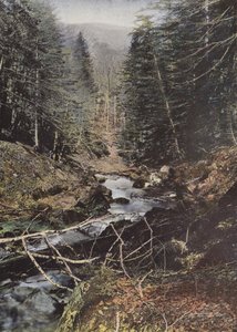 Luchon, Upper Valley Of The Pike af European Photographer