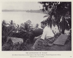 Dagens Livingstone (s/h foto) af European Photographer