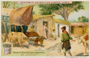 En Ranch af European School