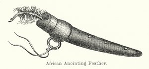 Afrikansk salvelsesfjer (gravering) af European School