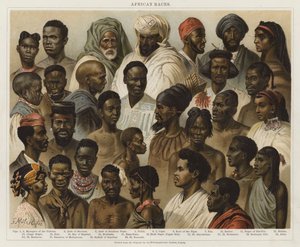 afrikanske racer af European School