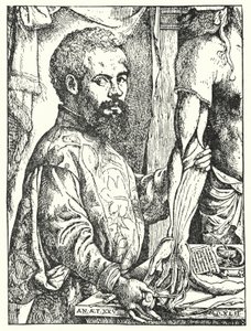 Andreas Vesalius (kobberstik) af European School