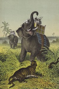 Dyr og planter i Indien (farve litho) af European School