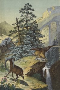 Dyr og planter i Alperne (farve litho) af European School