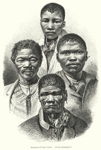Bushmen fra Kapkolonien (gravering) af European School