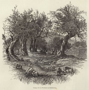 Hyrdemarken i Betlehem