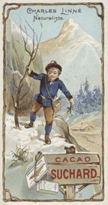 Carl Linnaeus, svensk botaniker og zoolog, som barn af European School