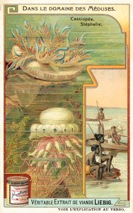 Cassiopeia og Stephalia (chromolitho) af European School