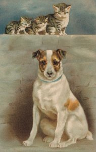 Katte observerer en hund (farvelitografi) af European School