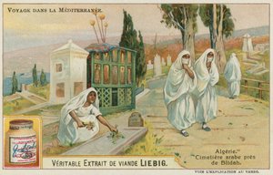 Kirkegård tæt på Blida i Algeriet af European School