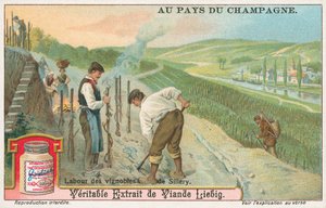 Champagne, Liebig-kort, begyndelsen af det 20. århundrede (chromo) af European School