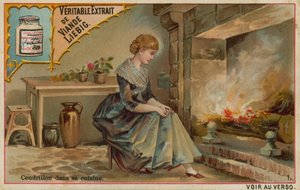 Askepot ved køkkenilden af European School