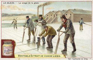 Cutting ice with saws  af European School