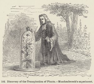 Discovery of the Transpiration of Plants, Muschenbroecks eksperiment (gravering) af European School