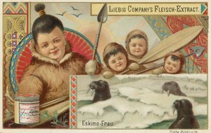 Eskimo af European School