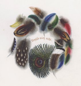 Fjer (farve litho) af European School