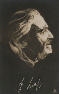 Franz Liszt, ungarsk komponist, dirigent og pianist (litografi) af European School